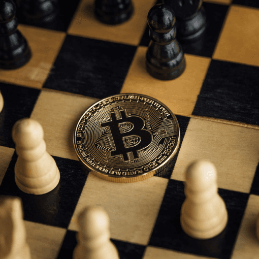 Warriors with Bitcoin shields